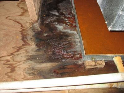 About Woodbridge Home Recovery - water damage restoration experts in Vaughan